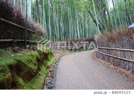 嵐山の竹林 嵐山の竹林 89045525