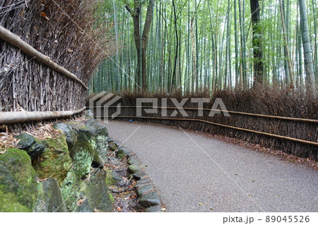 嵐山の竹林 嵐山の竹林 89045526