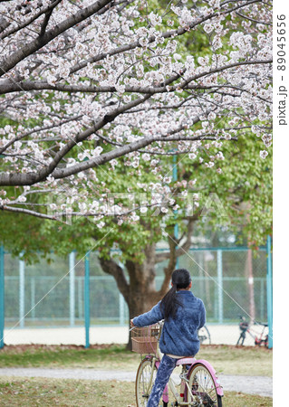 桜満開の公園で自転車を乗って遊んでいる小学生の子供 89045656