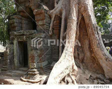 カンボジアアンコール遺跡　タ・プローム遺跡 89045754