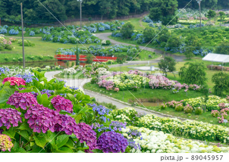 【三重県】かざはやの里～かっぱのふるさと～ あじさいまつり｜三重県津市の紫陽花（あじさい）の名所 89045957