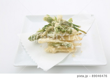 ウドの天ぷら ウドの天ぷら 89046476