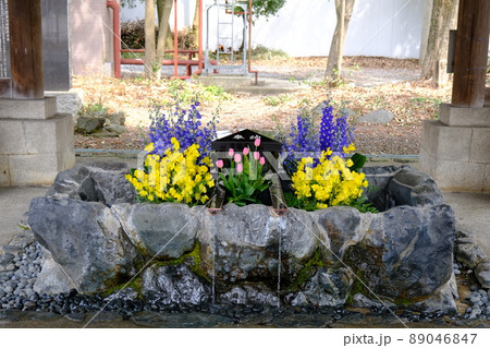護國神社の手水舎（滋賀・彦根）2 89046847