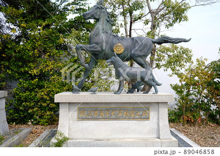 護國神社の境内・戦没軍馬軍犬軍鳩霊之碑（滋賀・彦根） 89046858