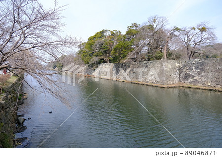 彦根城のお堀（滋賀県・彦根市）8 89046871