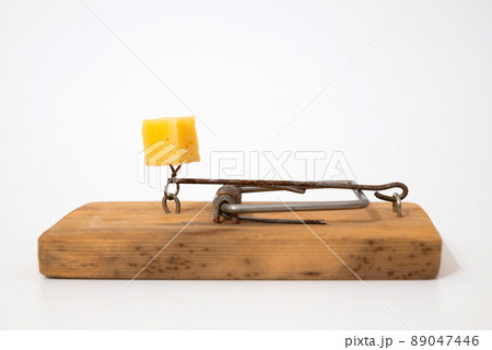 Vintage Mouse Traps On Wooden Table Stock Photo 1356326102