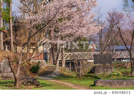 （長野県）桜が咲いた大出公園、北アルプスの展望 89048653