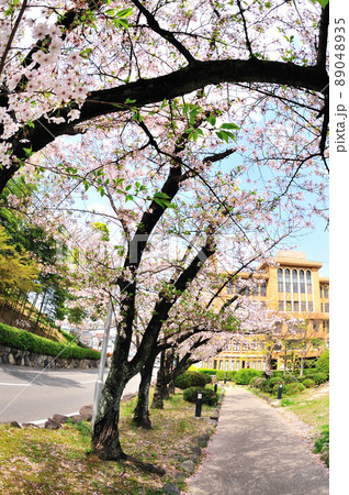 桶狭間古戦場の桜 89048935