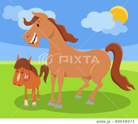 funny cartoon horse farm animal character with colt 89048973
