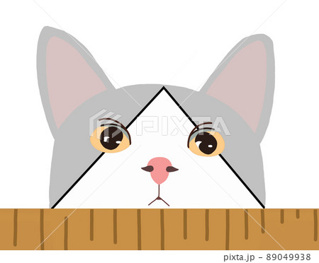 まん丸 おめめ の可愛い猫さん 1のイラスト素材 [89049938] - PIXTA