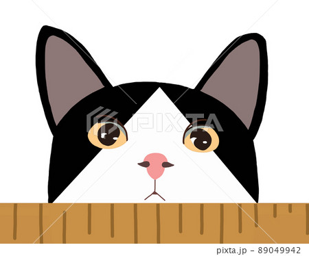 まん丸 おめめ の可愛い猫さん 4 89049942