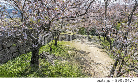 米子城跡の春景色 89050477