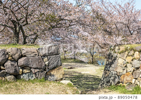 米子城跡の春景色 89050478