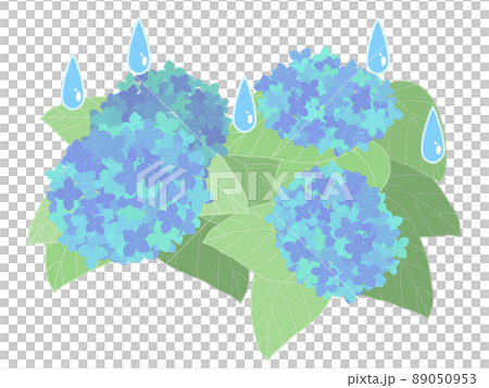 繡球花和雨滴的插圖 繡球花和雨滴的插圖 89050953