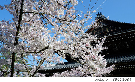 京都　南禅寺の美しい桜 89051034