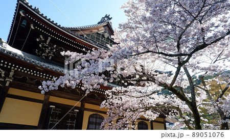 京都　南禅寺の美しい桜 89051076