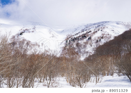 雪景色と樹林帯 89051329