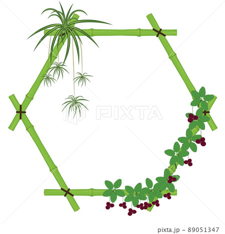 Hexagonal bamboo frame with spider plant and chocolate vines vector illustration Hexagonal bamboo frame with spider plant and chocolate vines vector illustration 89051347