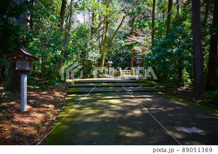白山比咩神社 表参道 白山比咩神社 表参道 89051369
