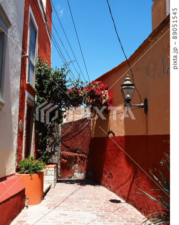 メキシコのケレタロの景色 メキシコのケレタロの景色 89051545