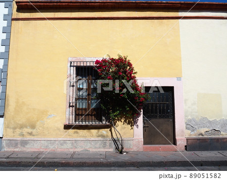 メキシコのケレタロの景色 89051582