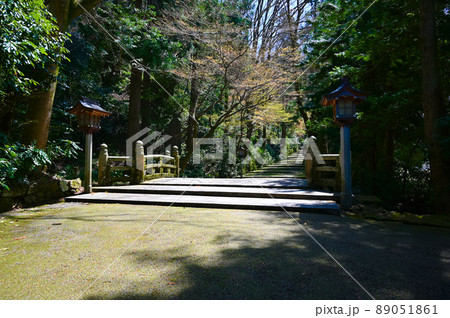 白山比咩神社　表参道　白山市 89051861