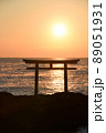 朝日と鳥居 89051931