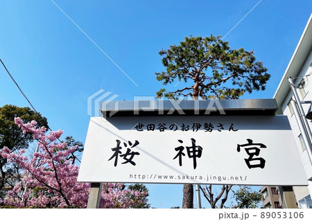 東京都世田谷区　桜神宮の河津桜 89053106