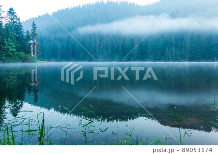Beautiful nature and a wonderful landscape with lush green forests and vegetation around the pearl of the Carpathians - Lake Synevyr. Carpathians in Ukraine. Mystical fog over the great firs.  89053174