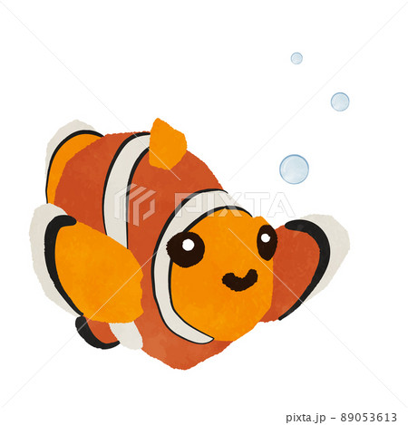 かわいいカクレクマノミ熱帯魚のイラストのイラスト素材