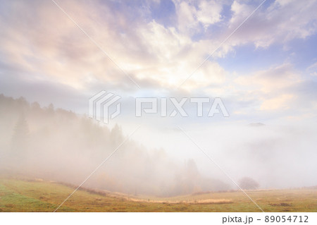 Autumn landscape with fog in the mountains. Fir forest on the hills. Carpathians, Ukraine, Europe Autumn landscape with fog in the mountains. Fir forest on the hills. Carpathians, Ukraine, Europe 89054712