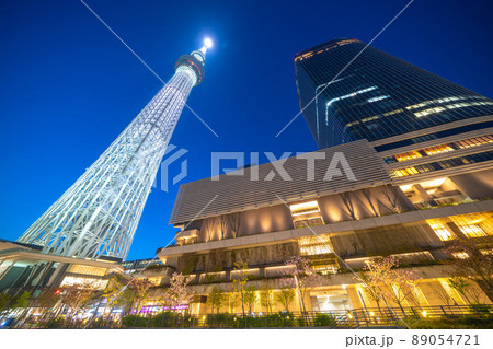日本の東京都市景観 東京スカイツリーなどを望む 日本の東京都市景観 東京スカイツリーなどを望む 89054721