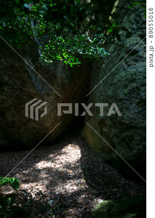 入島禁止の世界遺産「神宿る島」宗像・沖ノ島。 入島禁止の世界遺産「神宿る島」宗像・沖ノ島。 89055016