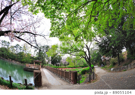 三崎水辺公園 三崎水辺公園 89055104