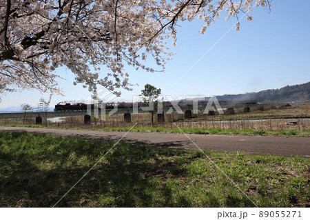 桜と蒸気機関車c57 磐越西線 喜多方 福島県 桜と蒸気機関車c57 磐越西線 喜多方 福島県 89055271