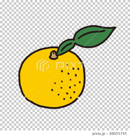 ◆柚子＊◆ Yuzu vector illustration - Stock Illustration [89055745] - PIXTA