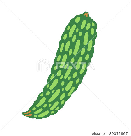 ゴーヤのベクターイラスト ゴーヤのベクターイラスト 89055867