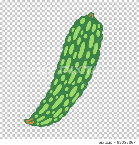 ゴーヤのベクターイラスト ゴーヤのベクターイラスト 89055867