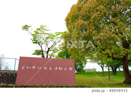 愛知県日進市、愛知県口論義運動公園の風景 89056455