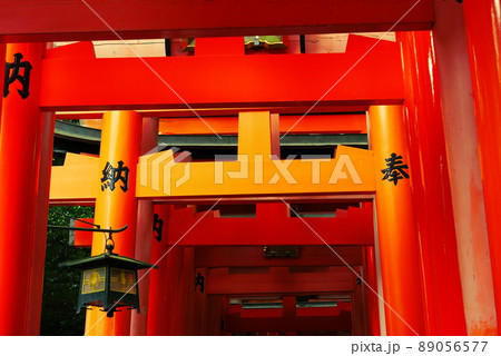 京都・伏見稲荷大社の千本鳥居 京都・伏見稲荷大社の千本鳥居 89056577