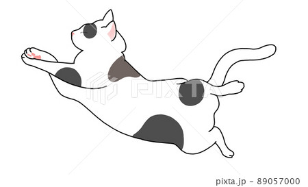 お昼寝 猫さん 無防備スタイル 1 89057000