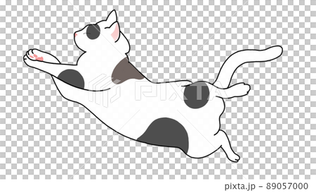 お昼寝 猫さん 無防備スタイル 1 89057000