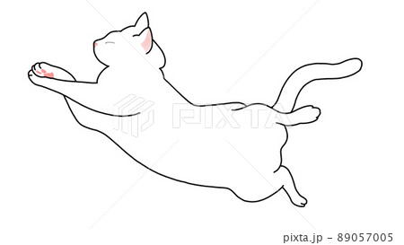 お昼寝 猫さん 無防備スタイル 2 89057005