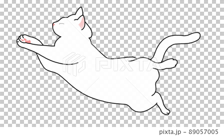 お昼寝 猫さん 無防備スタイル 2 89057005