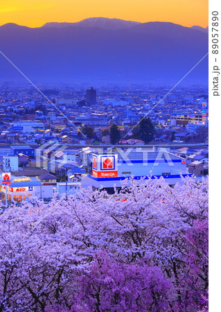 長野県 弘法山古墳の桜 長野県 弘法山古墳の桜 89057890