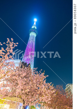 日本の東京都市景観 夜空に映える東京スカイツリーと墨田区おしなり公園の桜などを望む 日本の東京都市景観 夜空に映える東京スカイツリーと墨田区おしなり公園の桜などを望む 89058307