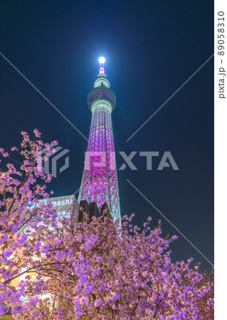 日本の東京都市景観 夜空に映える東京スカイツリーと墨田区おしなり公園の桜などを望む 日本の東京都市景観 夜空に映える東京スカイツリーと墨田区おしなり公園の桜などを望む 89058310