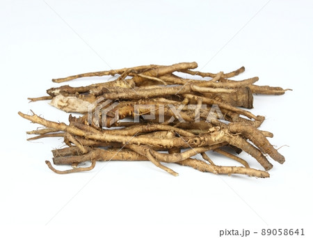 Fresh dandelion roots, lat.Taraxacum officinale on white. Fresh dandelion roots, lat.Taraxacum officinale on white. 89058641