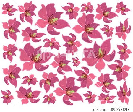 Wine Magnolia Flower or Magnolia Figo Flowers Background 89058893