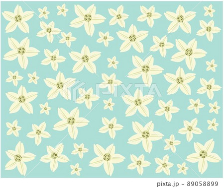 White Tuberose Flowers or Night Blooming Jasmine Background 89058899